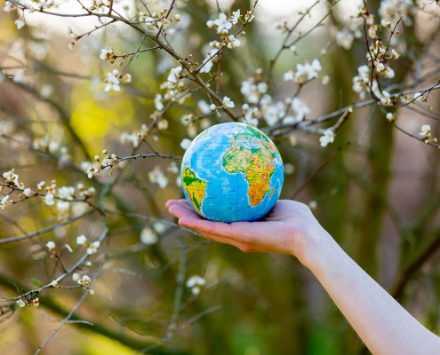 woman hand holds Earth globe in blooming cherry garden